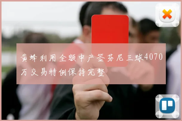 黄蜂利用全额中产签芬尼三球4070万交易特例保持完整